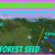 3 Villages Seed May 2019
